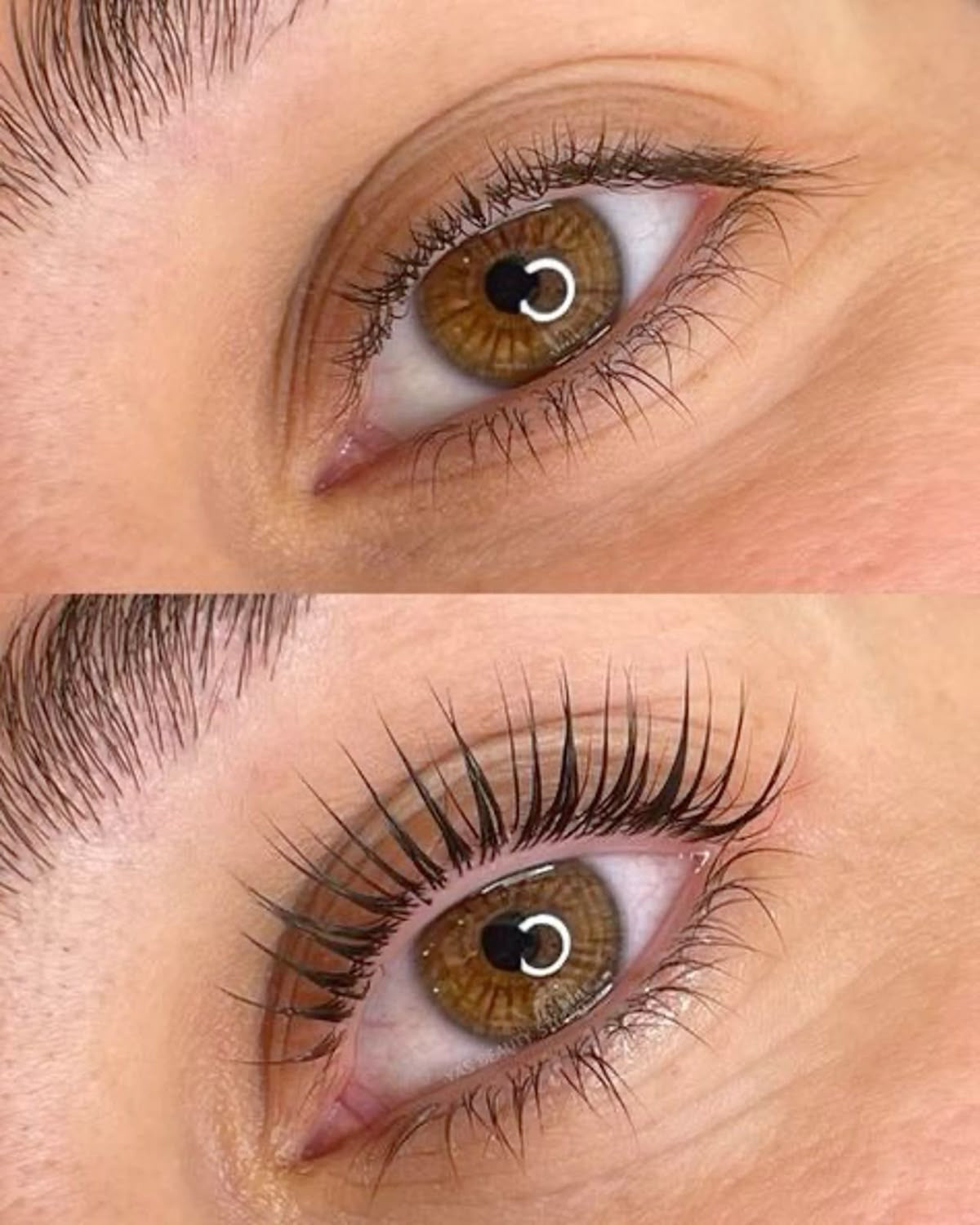 Formation Brow & Lash Lift 2 jours