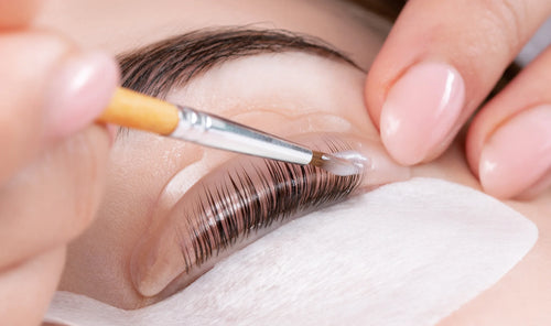 Formation Brow & Lash Lift 2 jours